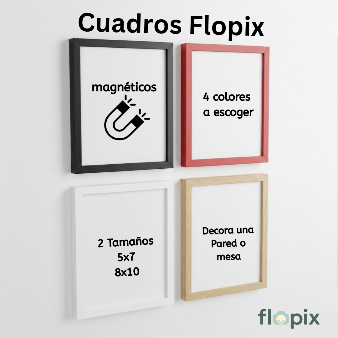 Cuadros Flopix – Magnéticos y Decorativos